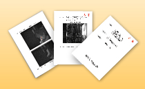 ���C�����񍐏�